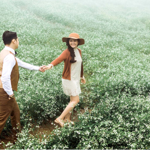 Du lịch Mộc Châu - Hoa Cải
