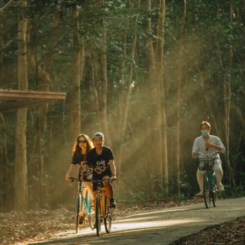 Tour Du Lich Nam Cat Tien Thu Duc Travel