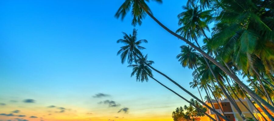 Dia diem du lich phan thiet 1