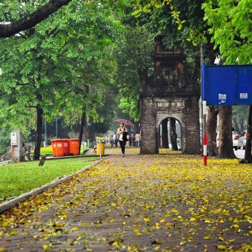 Hinh anh pho co ha noi mua la thu 053444392