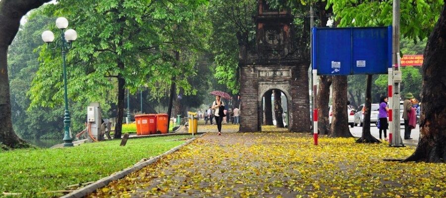 Hinh anh pho co ha noi mua la thu 053444392