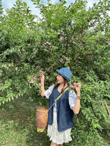 495360781 695827192840101 4605881363867282271 n