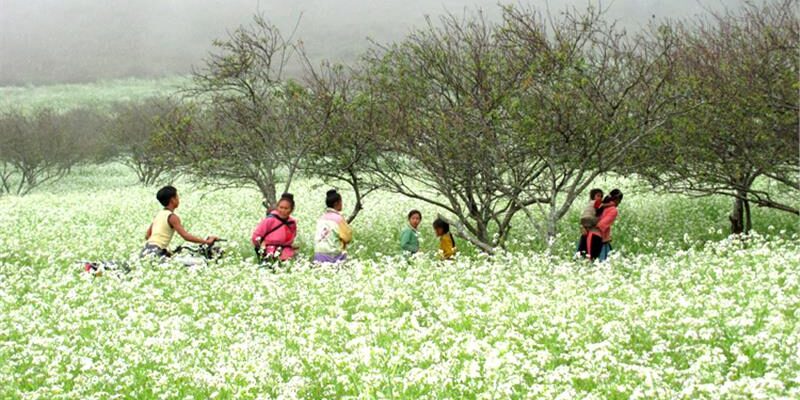 Ban thung cuong moc chau 002
