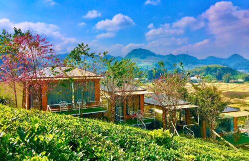 Review homestay wooden house moc chau cuc chi tiet 1645471891