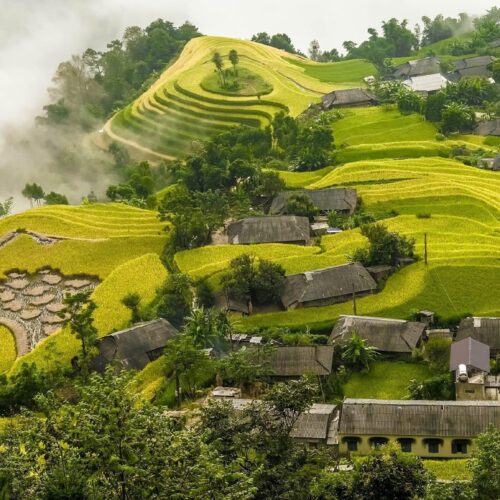 Z3607295612841 7f7c03413a9a53eda578dd4985706d69