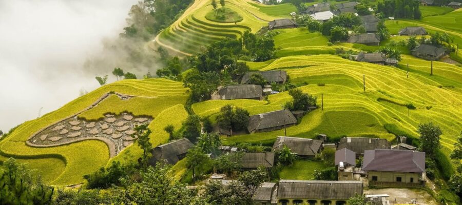 Z3607295612841 7f7c03413a9a53eda578dd4985706d69